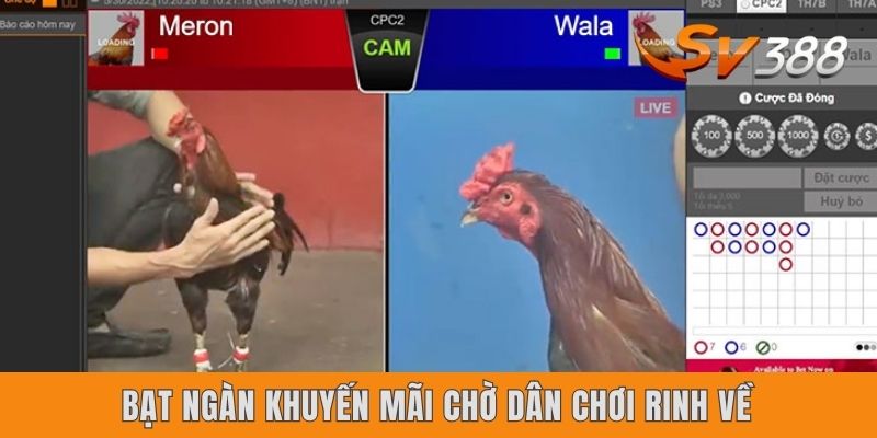 Bạt ngàn khuyến mãi chờ dân chơi rinh về