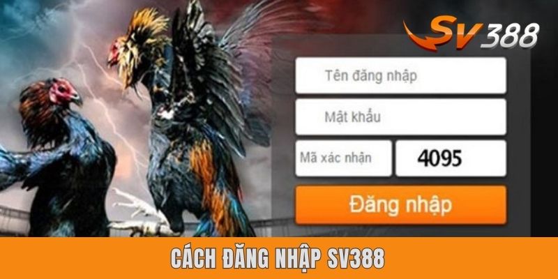 Cách Đăng Nhập SV388 Chi Tiết Từng Bước Dành Cho Tân Binh