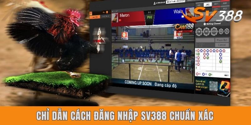 Chỉ dẫn cách đăng nhập SV388 chuẩn xác