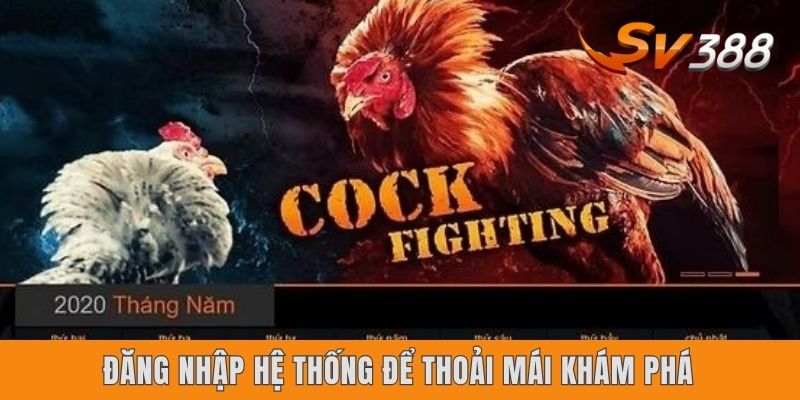 Đăng nhập hệ thống để thoải mái khám phá
