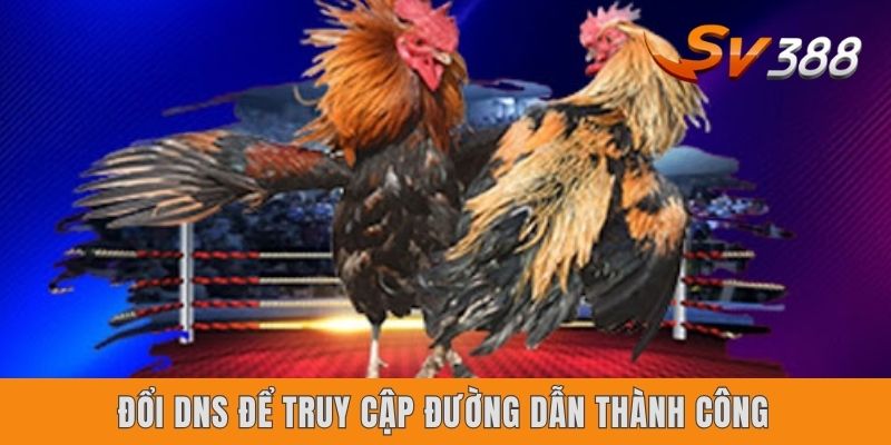 Đổi DNS để truy cập đường dẫn thành công