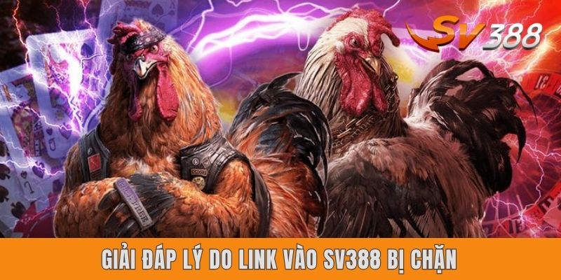 Giải đáp lý do link vào Sv388 bị chặn