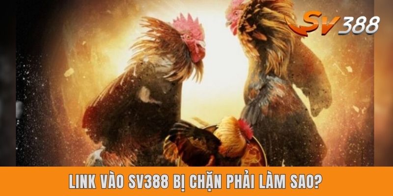 Link Vào SV388 Bị Chặn | Phương Pháp Xử Lý An Toàn