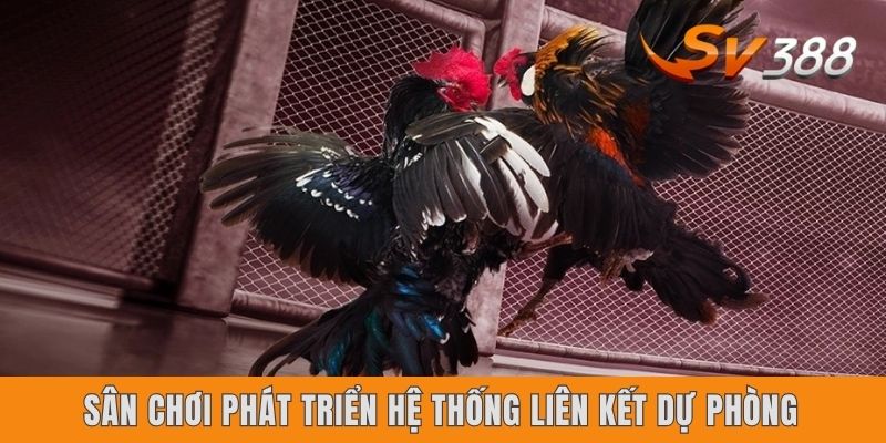 Sân chơi phát triển hệ thống liên kết dự phòng
