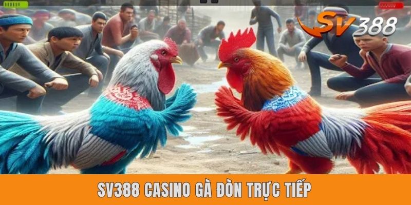 SV388 Casino Gà Đòn Trực Tiếp | 4 Lợi Thế Danh Tiếng #1