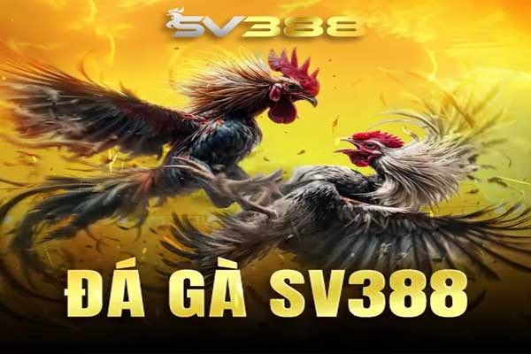 SV388 ✔️ Web Nhà Cái【SV388.com】Chính Thức Uy Tín 2025 đá gà sv388